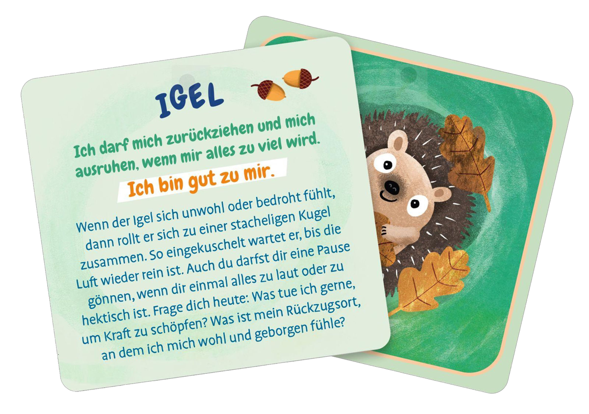 Igel-Krafttier-Pattloch-Julia-Reyelt